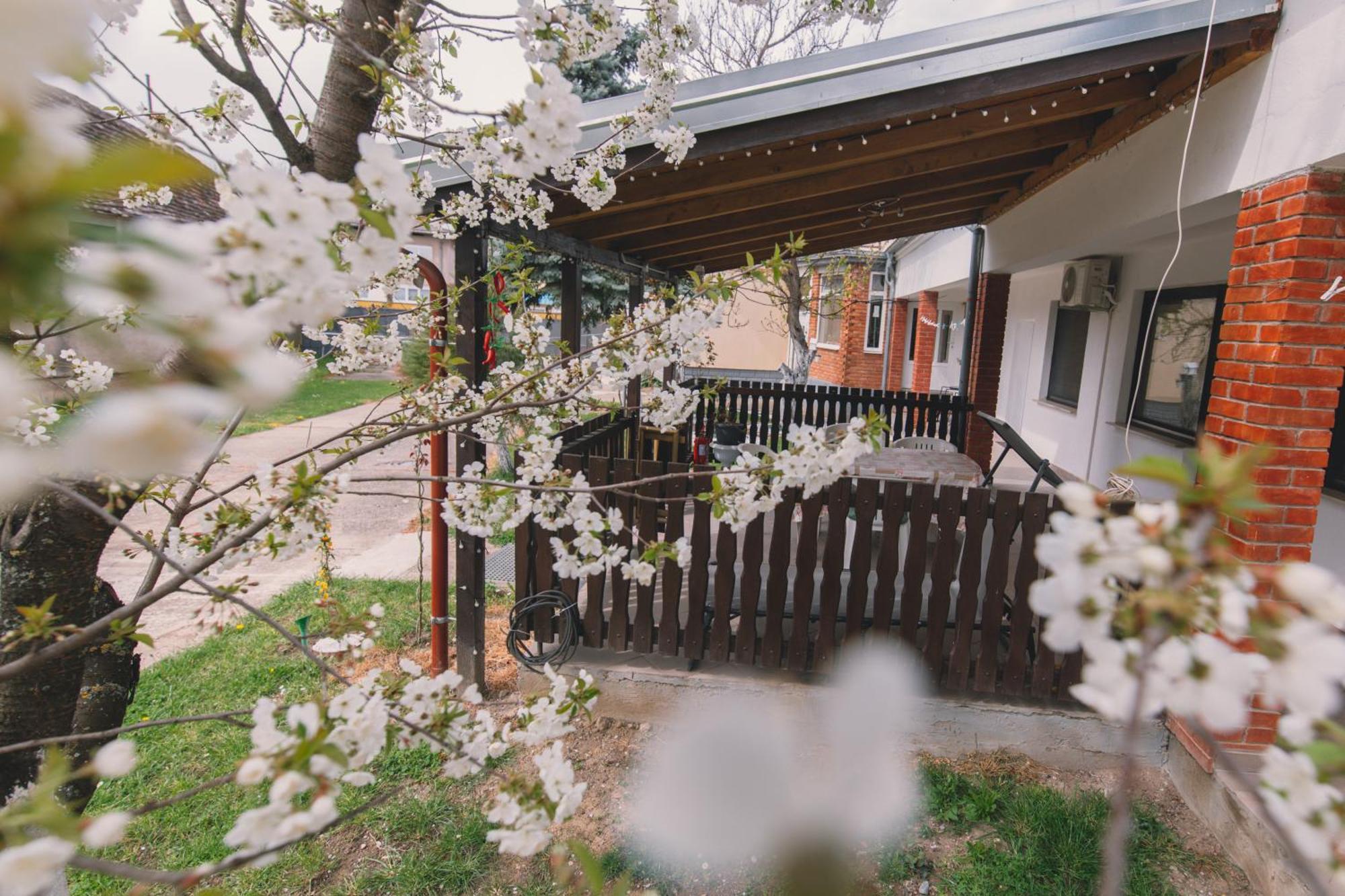 Apartman Marta I Soba Maja Gradiste Kültér fotó